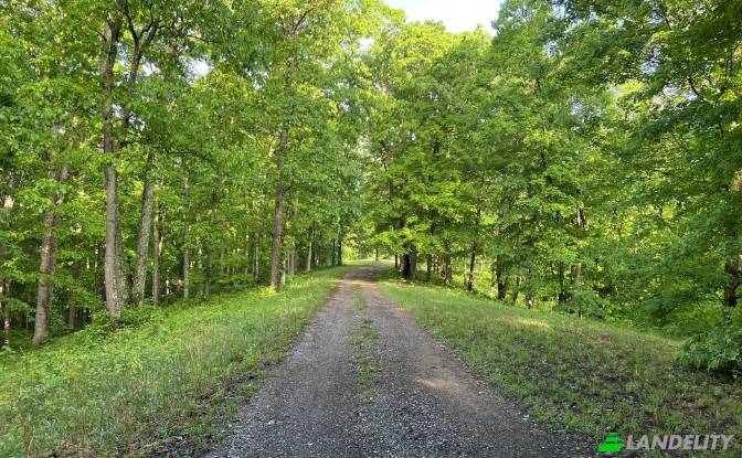 Land/Lot for Sale 23250 Brown Rd. Photo#5