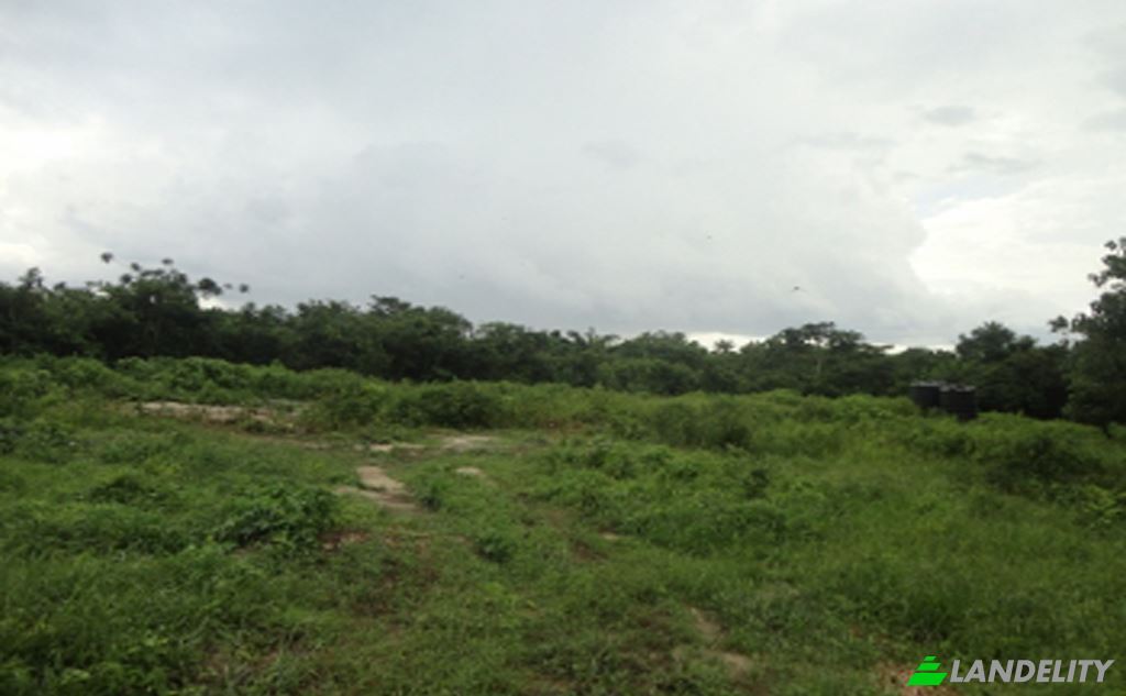 Terreno/Lote para alugar 333117, Otokutu, Ughelli South, Delta, Nigeria. foto 1