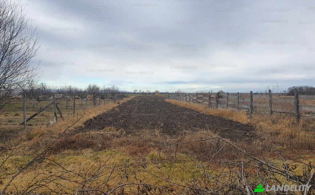 Terreno/Lote à venda Zsambok, Godollo District, Pest County, Hungary, Szent Laszlo. foto 9