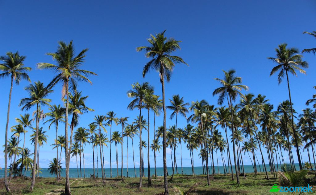 Land/Lot for Sale Barreiros, State of Pernambuco, Brazil, 55560. Photo 3