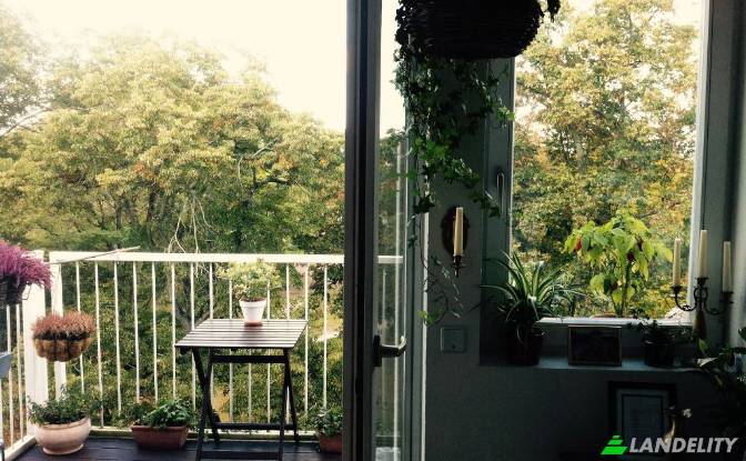 Квартира продаж Konigsseestrasse, 12527 Berlin. Фото#3 Квартира продаж Konigsseestrasse, 12527 Berlin. Фото#3