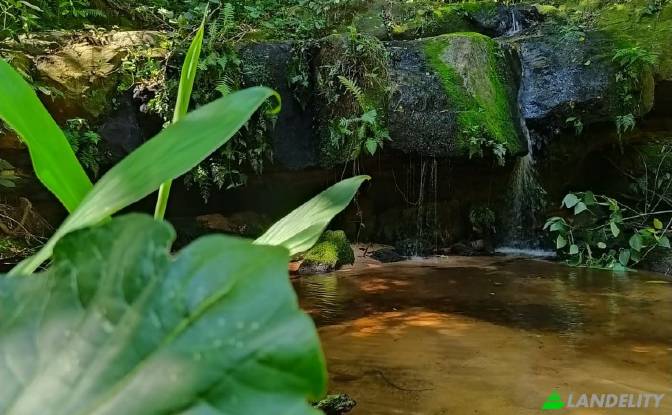 Land/Lot for Sale Via sin nombre, Mbokajaty. Photo#3 Land/Lot for Sale Via sin nombre, Mbokajaty. Photo#3