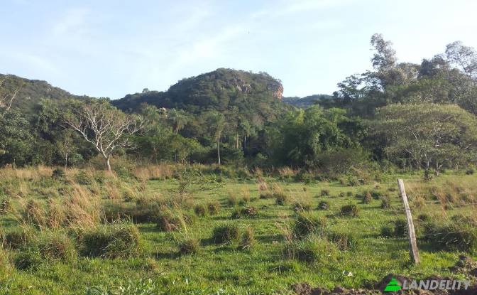 Land/Lot for Sale Via sin nombre, Mbokajaty. Photo#6 Land/Lot for Sale Via sin nombre, Mbokajaty. Photo#6