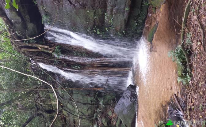 Land/Lot for Sale Via sin nombre, Mbokajaty. Photo#7 Land/Lot for Sale Via sin nombre, Mbokajaty. Photo#7