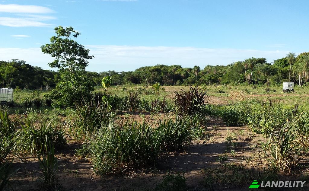 Land/Lot for Sale Via sin nombre, Mbokajaty, Escobar, Paraguari Department, Paraguay. Photo 10