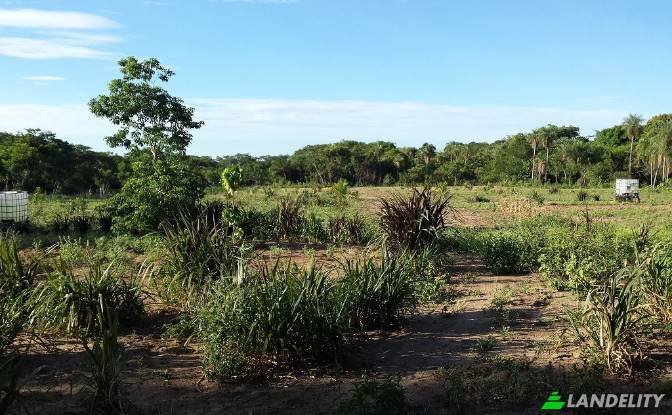 Land/Lot for Sale Via sin nombre, Mbokajaty. Photo#10 Land/Lot for Sale Via sin nombre, Mbokajaty. Photo#10