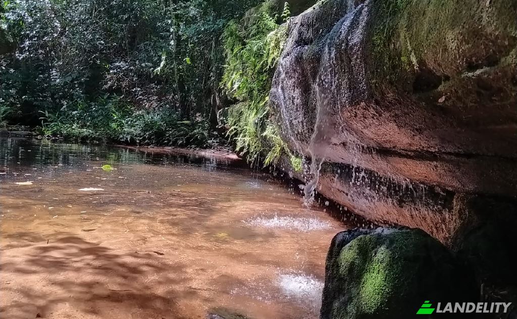 Land/Lot for Sale Via sin nombre, Mbokajaty, Escobar, Paraguari Department, Paraguay. Photo 2