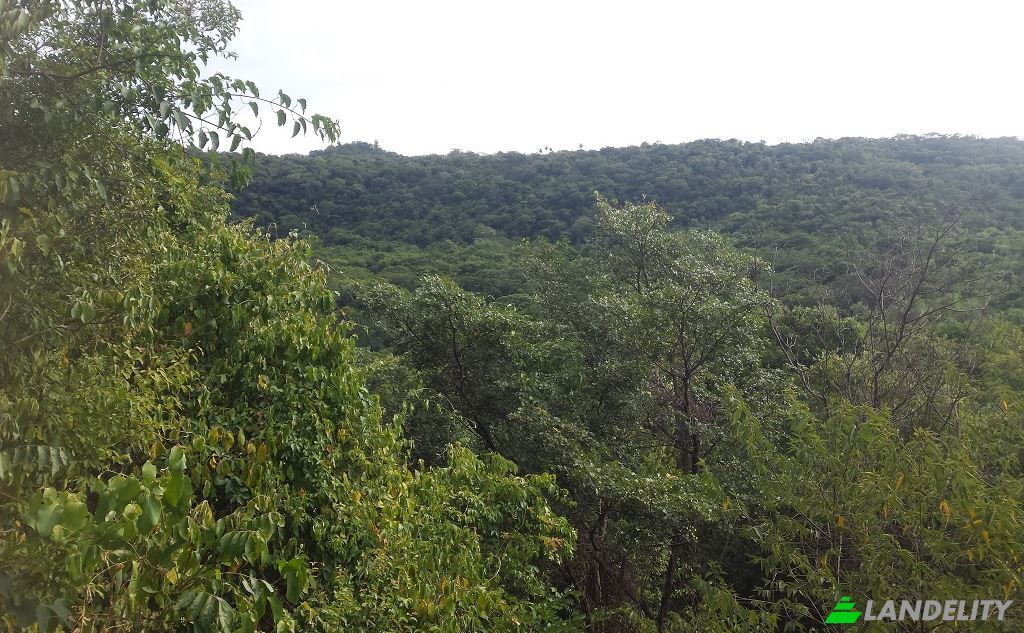 Land/Lot for Sale Via sin nombre, Mbokajaty, Escobar, Paraguari Department, Paraguay. Photo 4