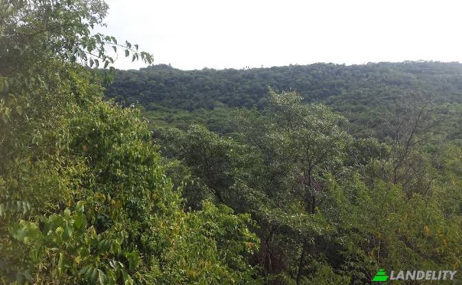 Land/Lot for Sale Via sin nombre, Mbokajaty. Photo#4 Land/Lot for Sale Via sin nombre, Mbokajaty. Photo#4