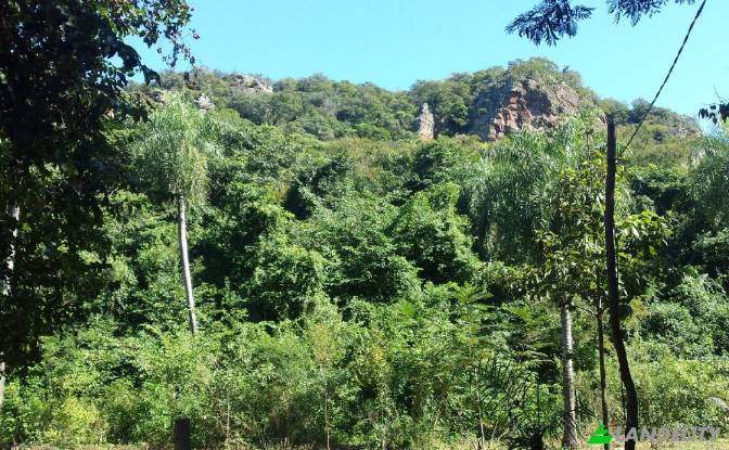 Land/Lot for Sale Via sin nombre, Mbokajaty. Photo#5 Land/Lot for Sale Via sin nombre, Mbokajaty. Photo#5