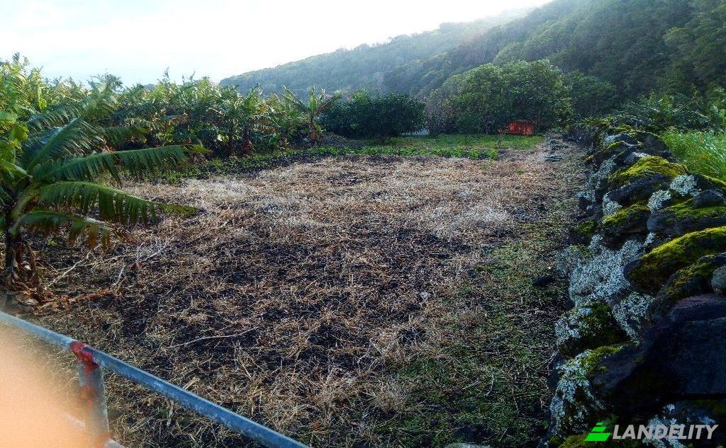 Land/Lot for Sale Rua do Canto, Terra Alta, Sao Roque do Pico, Azores, Portugal. Photo 8
