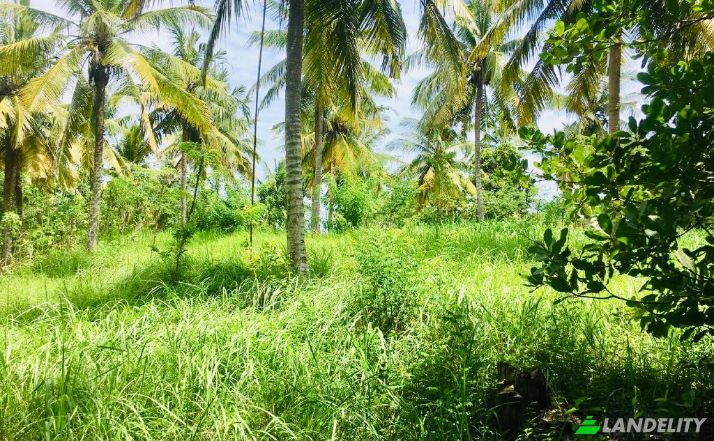 Land/Lot for Sale Sengkol, Central Lombok Regency, West Nusa Tenggara, Indonesia, Pujut, West Nusa Tenggara 83573. Photo 2