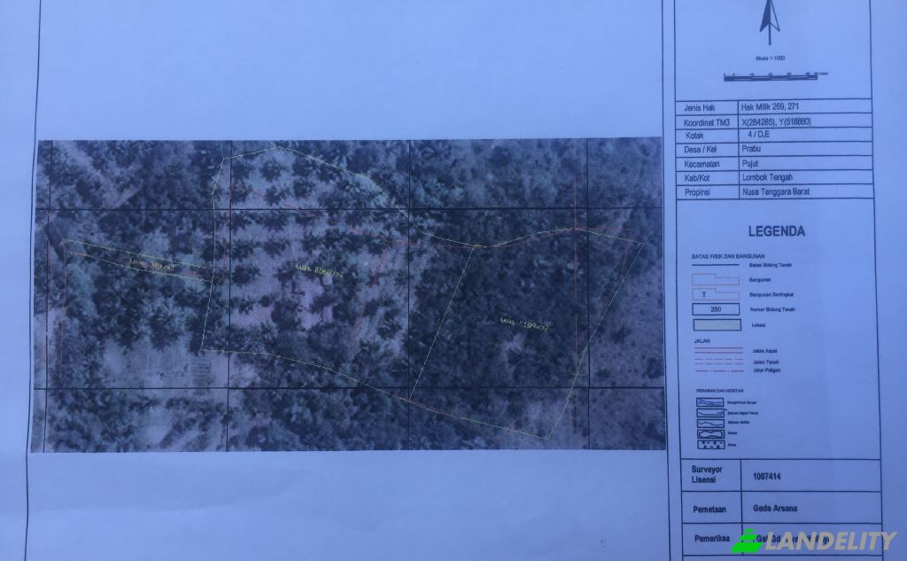 Land/Lot for Sale Sengkol, Central Lombok Regency, West Nusa Tenggara, Indonesia, Pujut, West Nusa Tenggara 83573. Photo 4