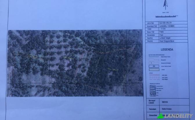 Land/Lot for Sale Sengkol, Central Lombok Regency. Photo#4