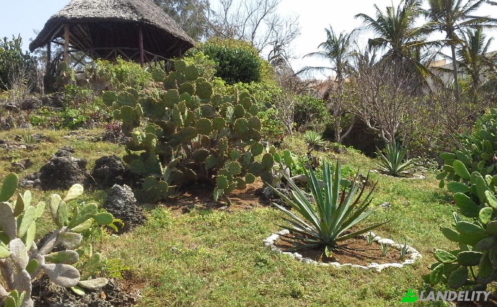 Casa unifamiliar à venda Mombasa, Kisauni, Mombasa County, Kenya. foto 6