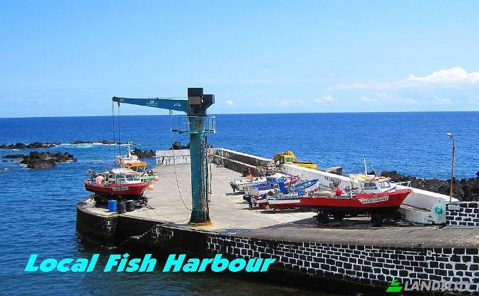 Land/Lot for Sale Terra Do Pao, Igreja, Madalena. Photo#9 Land/Lot for Sale Terra Do Pao, Igreja, Madalena. Photo#9