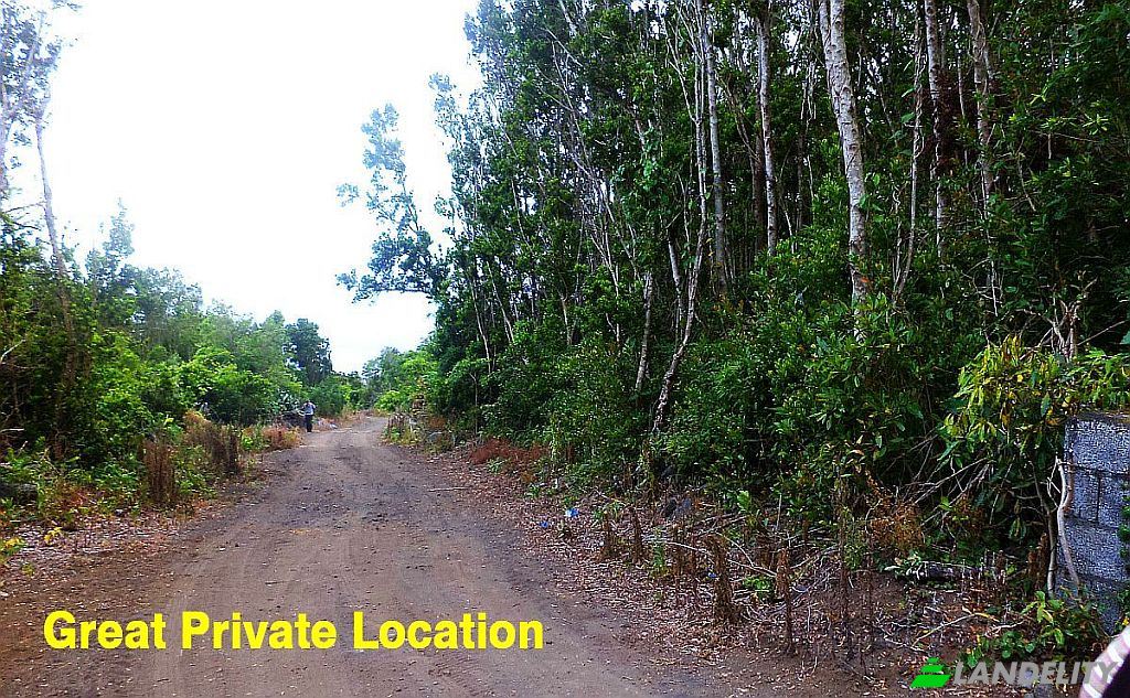 Land/Lot for Sale Terra Do Pao, Igreja, Madalena, Azores, Portugal. Photo 6