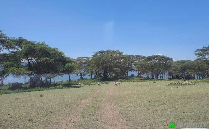 Land/Lot for Sale Tarambete, Kasarani, Naivasha. Photo#11