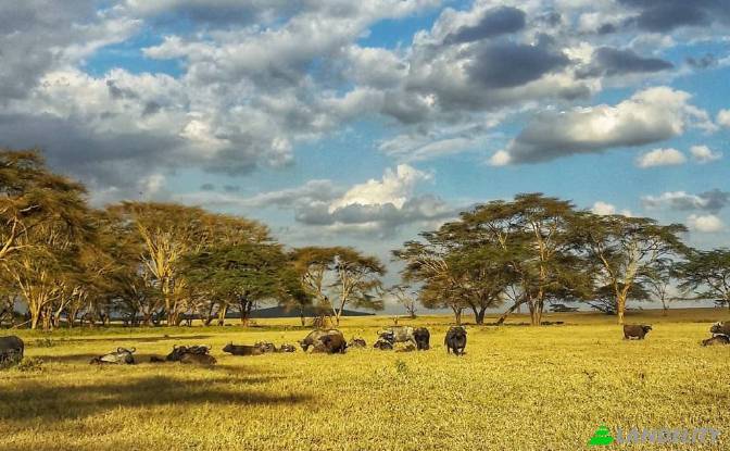 Land/Lot for Sale Tarambete, Kasarani, Naivasha. Photo#13