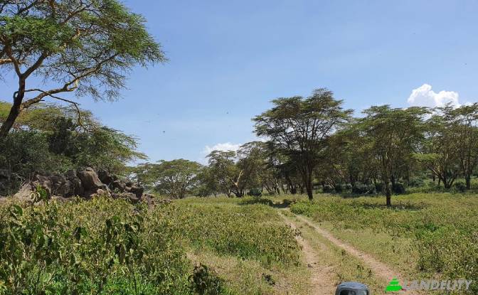 Land/Lot for Sale Tarambete, Kasarani, Naivasha. Photo#10