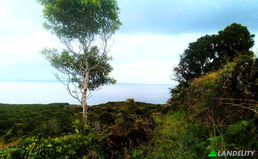 Single Family Home for Sale Feteira, Lajes do Pico, Azores, Portugal. Photo 6