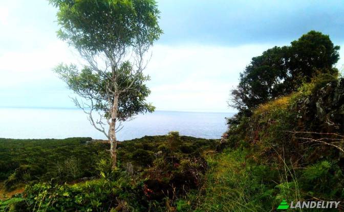 Single Family Home for Sale Feteira, Lajes do Pico. Photo#6 Single Family Home for Sale Feteira, Lajes do Pico. Photo#6