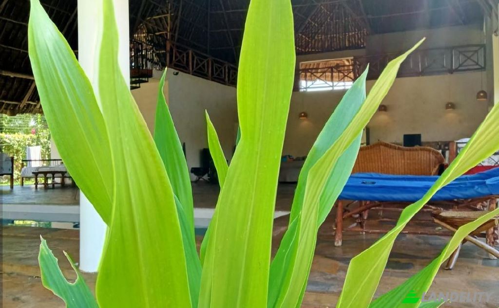 Single Family Home for Sale Diani Beach, Msambweni, Kwale County, Kenya. Photo 20