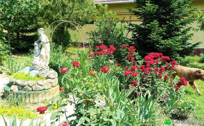 Односімейний будинок продаж Nagyrev. Фото#3