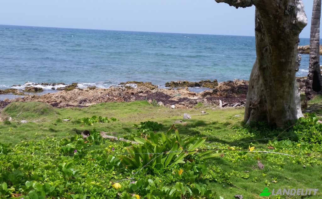 Land/Lot for Sale Via sin nombre, 33000, Baoba del Pinar, Cabrera, Maria Trinidad Sanchez Province, Dominican Republic. Photo 1