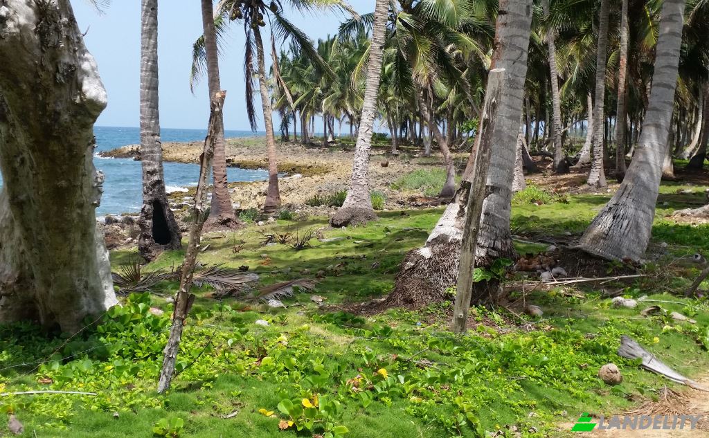 Land/Lot for Sale Via sin nombre, 33000, Baoba del Pinar, Cabrera, Maria Trinidad Sanchez Province, Dominican Republic. Photo 2