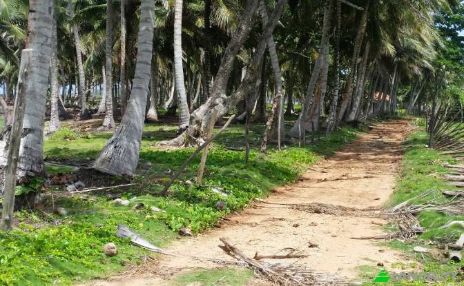 Land/Lot for Sale Via sin nombre, 33000. Photo#3