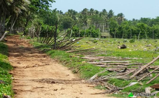 Land/Lot for Sale Via sin nombre, 33000. Photo#4