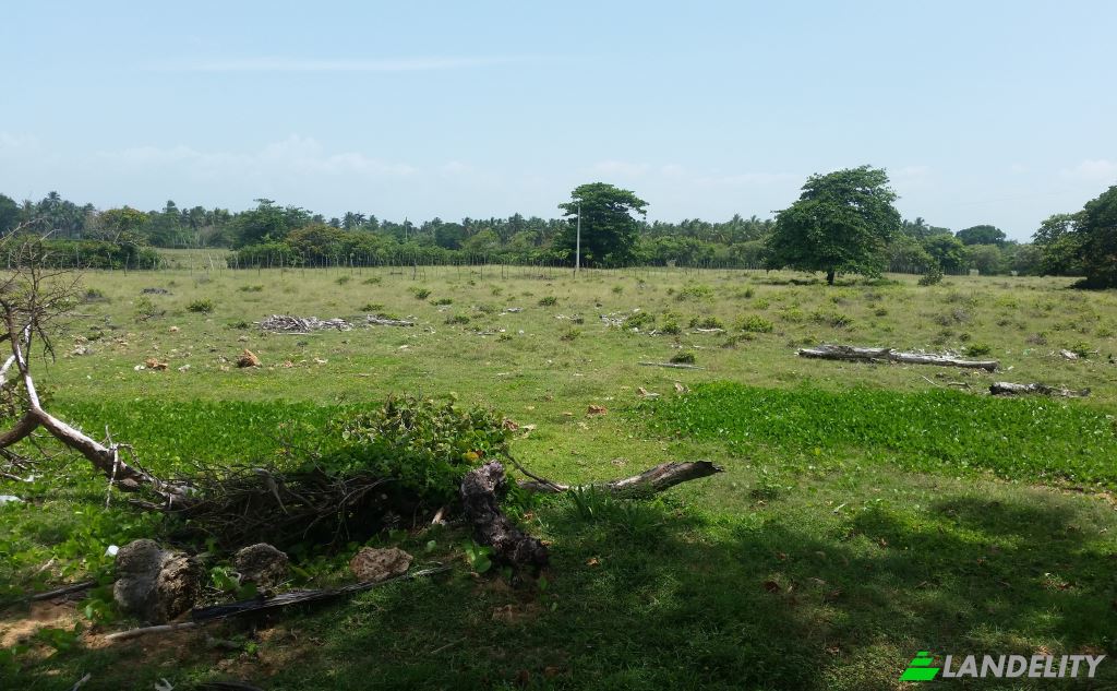 Land/Lot for Sale Via sin nombre, 33000, Baoba del Pinar, Cabrera, Maria Trinidad Sanchez Province, Dominican Republic. Photo 5