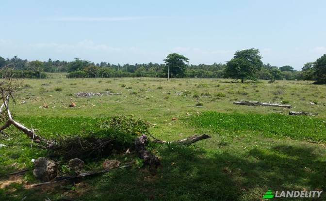 Land/Lot for Sale Via sin nombre, 33000. Photo#5