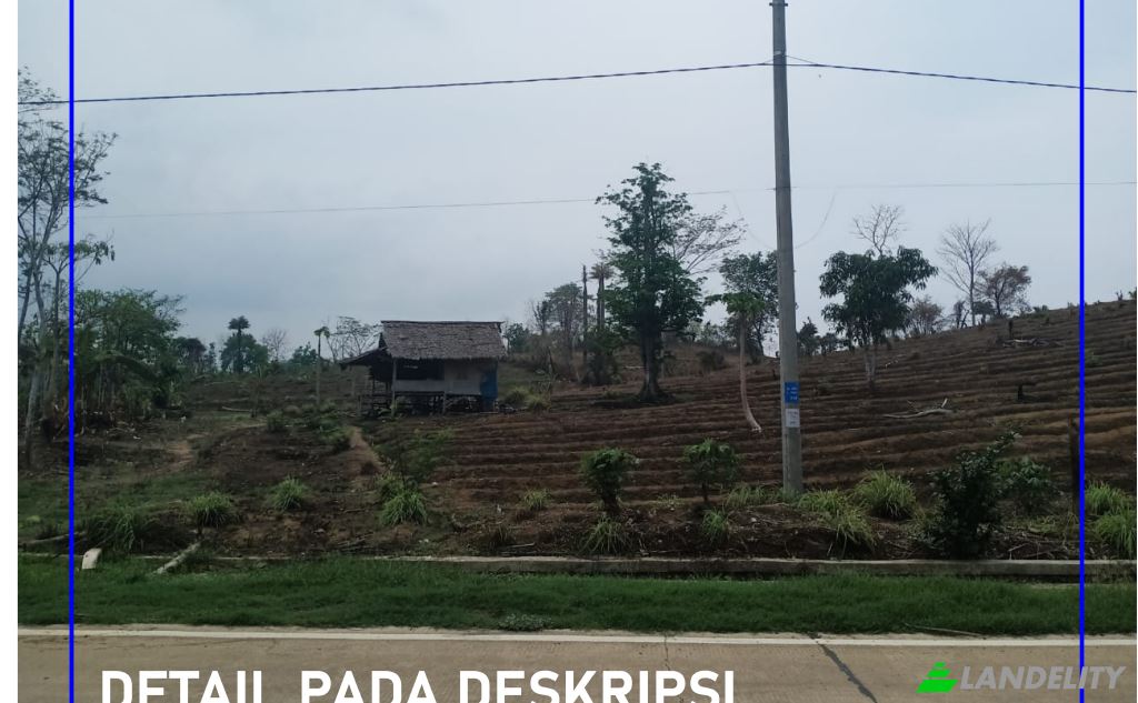 Land/Lot for Sale Tanjungjaya, Pandeglang Regency, Banten, Indonesia, Panimbang, Banten 42281. Photo 5