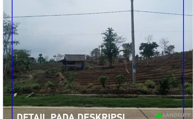 Land/Lot for Sale Tanjungjaya, Pandeglang Regency. Photo#5