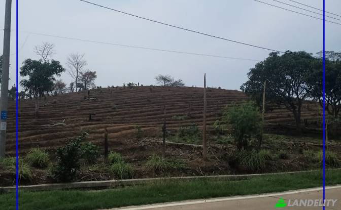 Land/Lot for Sale Tanjungjaya, Pandeglang Regency. Photo#4