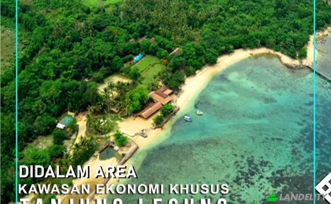 Land/Lot for Sale Tanjungjaya, Pandeglang Regency. Photo#3