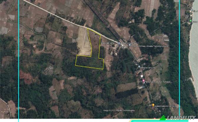 Land/Lot for Sale Tanjungjaya, Pandeglang Regency. Photo#7