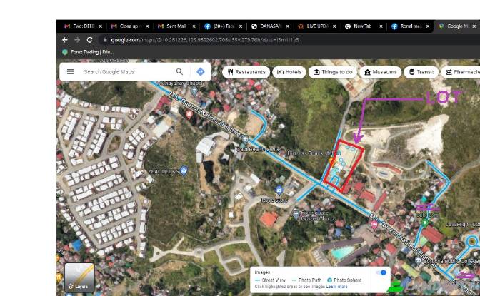 Земля/Ділянка продаж Mahayahay St, Cordova, Cebu. Фото#10