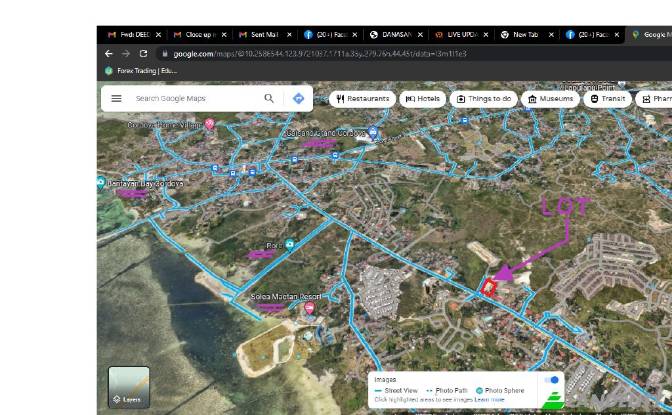 Земля/Ділянка продаж Mahayahay St, Cordova, Cebu. Фото#11
