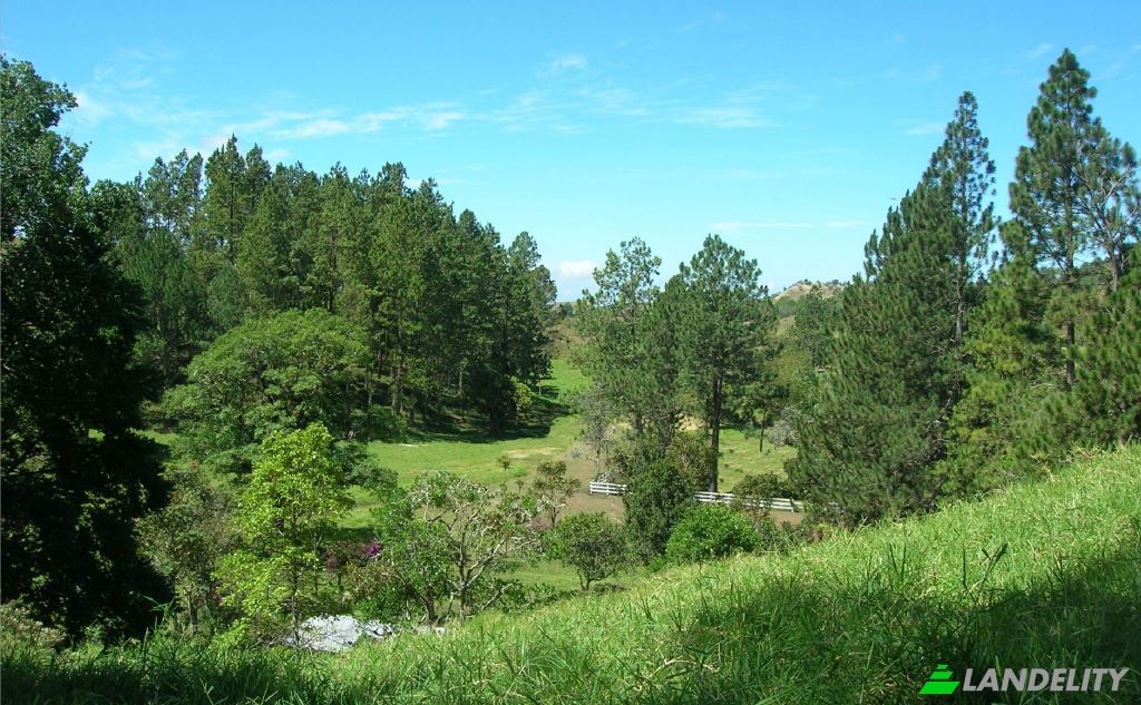 Land/Lot for Sale Manzana 041005, Dominical, Renacimiento District, Chiriqui Province, Panama. Photo 3