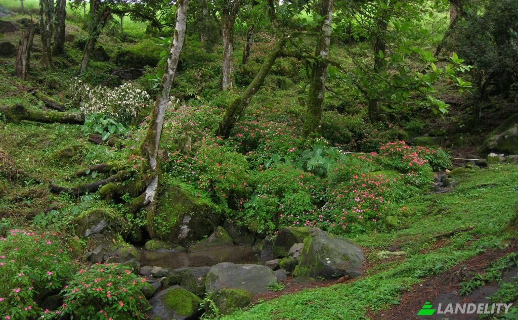 Land/Lot for Sale Manzana 041005, Dominical, Renacimiento District, Chiriqui Province, Panama. Photo 4