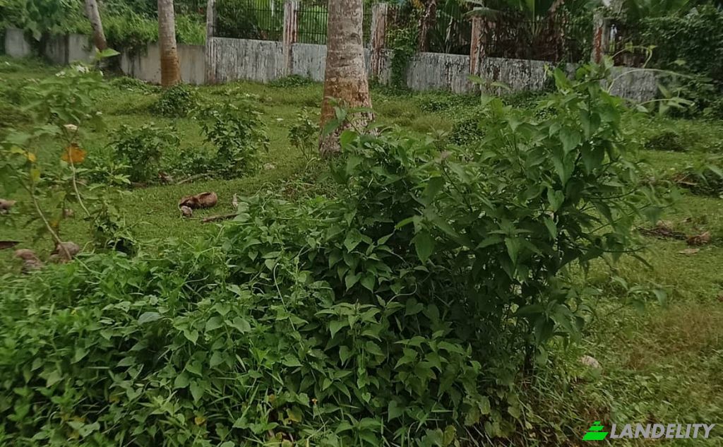 Земля/Ділянка продаж Dapa, Surigao del Norte, Caraga, Philippines. Фото 10