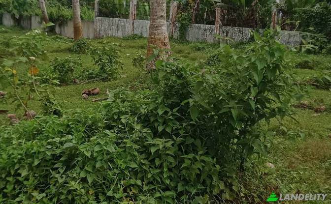 Земля/Ділянка продаж Dapa, Surigao del Norte. Фото#10