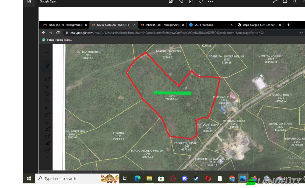 Земля/Ділянка продаж Dapa, Surigao del Norte, Caraga, Philippines. Фото 6