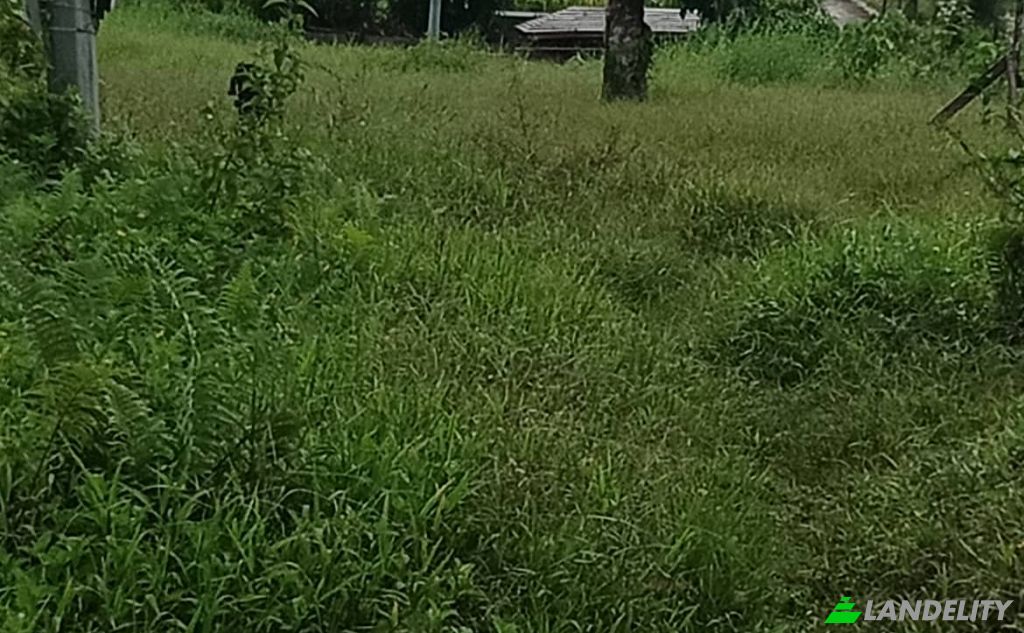 Земля/Ділянка продаж Dapa, Surigao del Norte, Caraga, Philippines. Фото 8