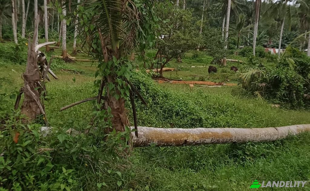 Земля/Ділянка продаж Dapa, Surigao del Norte, Caraga, Philippines. Фото 9