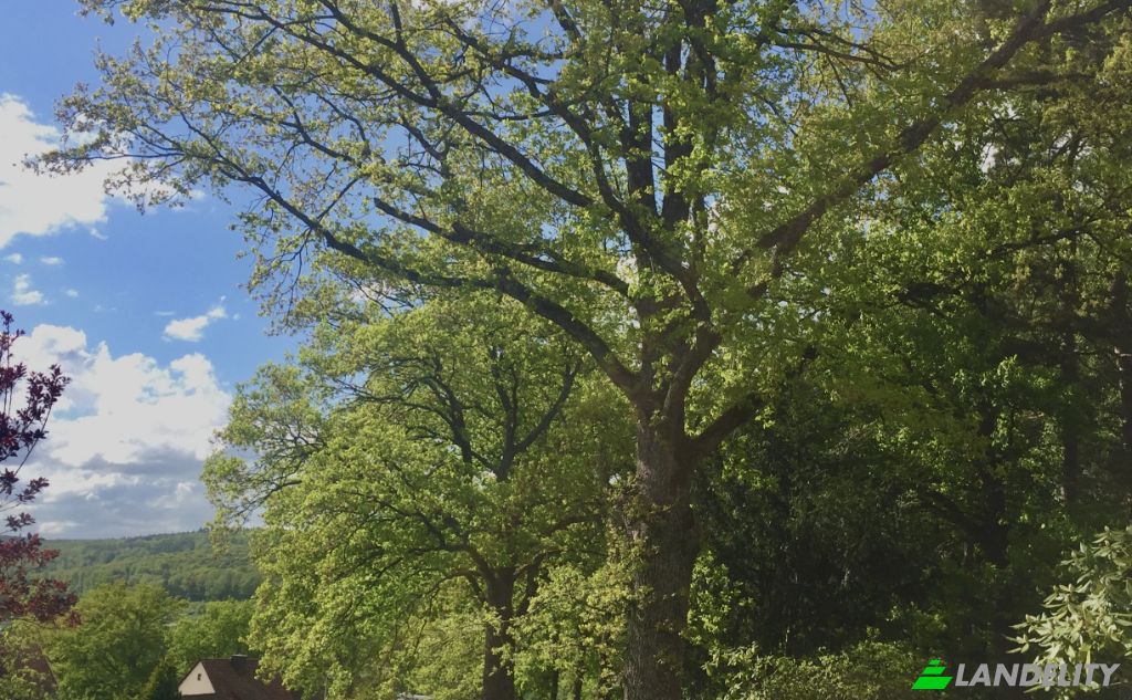 Односімейний будинок продаж Breitenbacher Weg, 97769 Bad Bruckenau, Bad Bruckenau, Lower Franconia, Bavaria, Germany. Фото 15