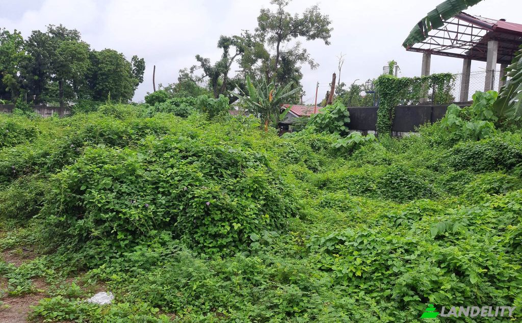 Земля/Ділянка продаж Lapu-Lapu City, Cebu, Central Visayas, Philippines. Фото 7